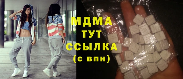 apvp Инсар