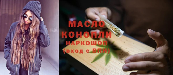 дмт Инта