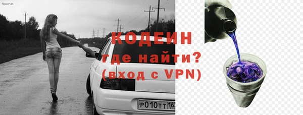 apvp Инсар