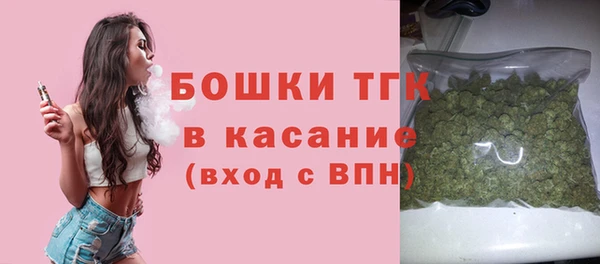 скорость Каменка
