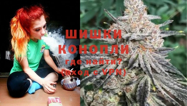 дмт Инта