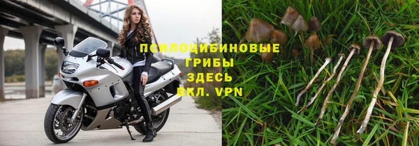 apvp Инсар