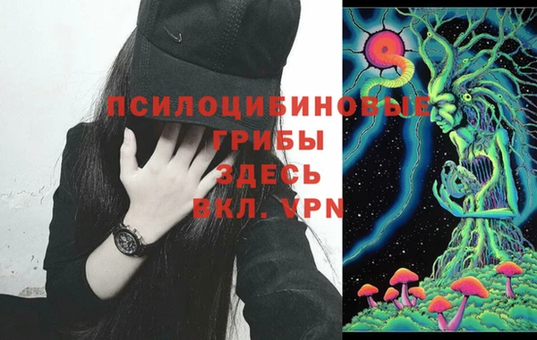 apvp Инсар
